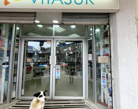 angol plaza farmacia vitasur (8)